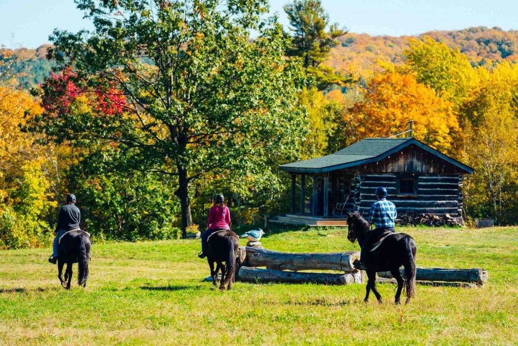Glen Oro Farm Horse Trail Ride in Fall
