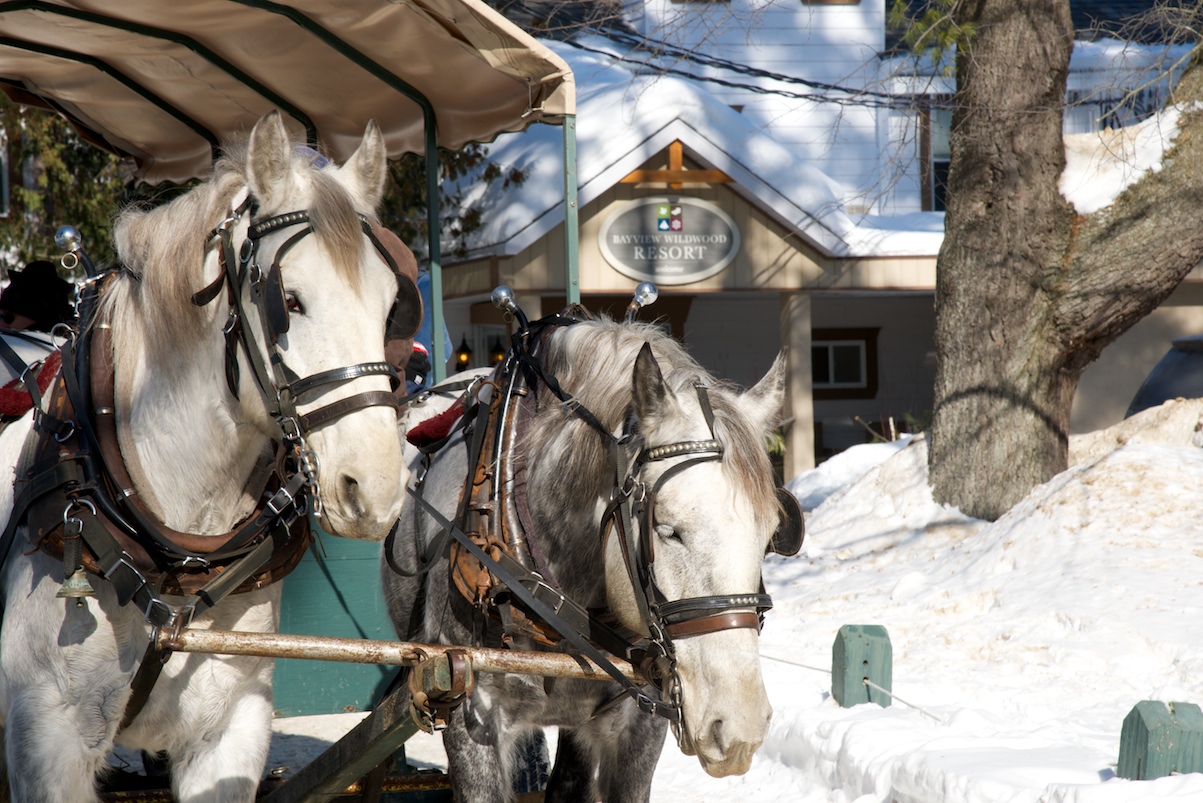 Bayview Wildwood Resort winter horse carriage