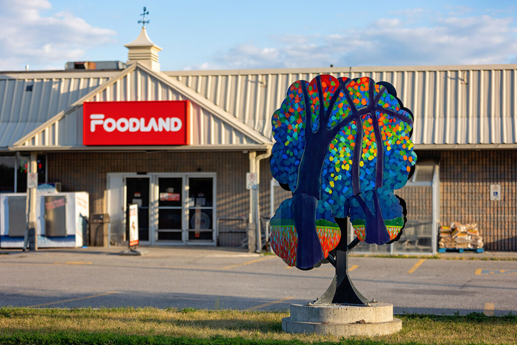 Art tree of silhouette of trees with colourful background in front of Foodland grocery store in Craighurst