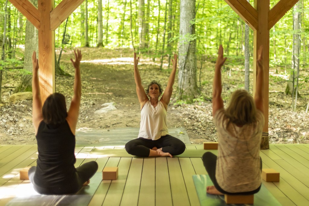 Vicki Tree Yoga