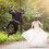 Get Married in Orillia & Lake Country