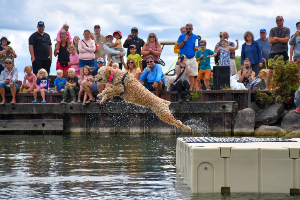 Orillia Waterfront Festival Dog Competition