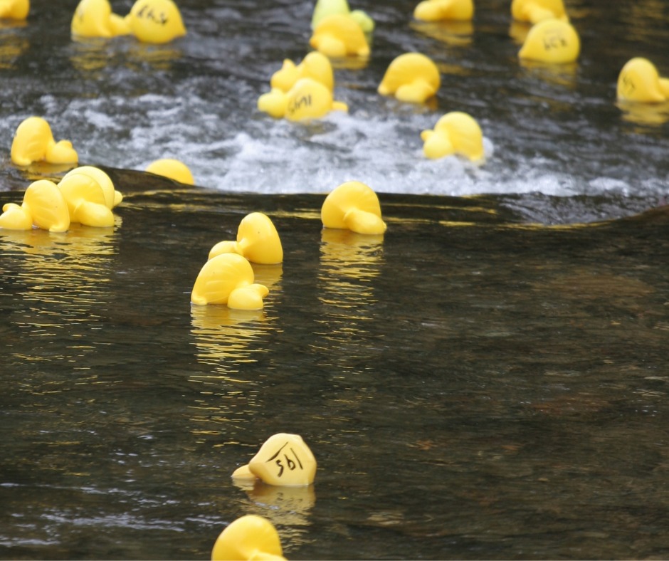 Coldwater Duck Race