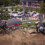 Gear Up for Bike Fest at Horseshoe Valley Resort
