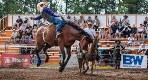 RAM Rodeo