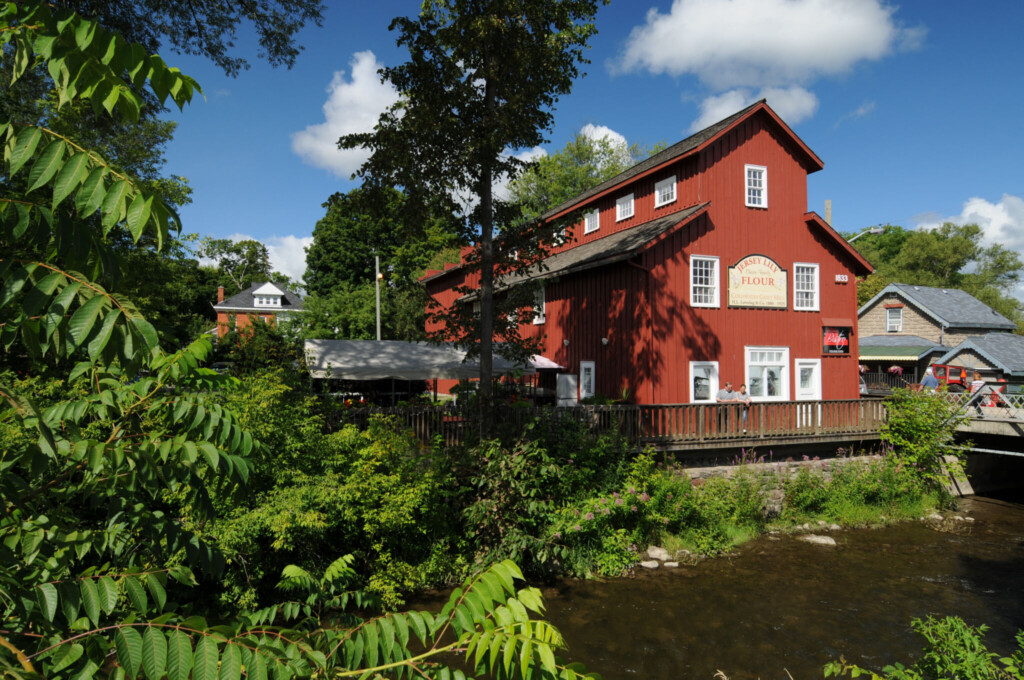 The Coldwater Mill