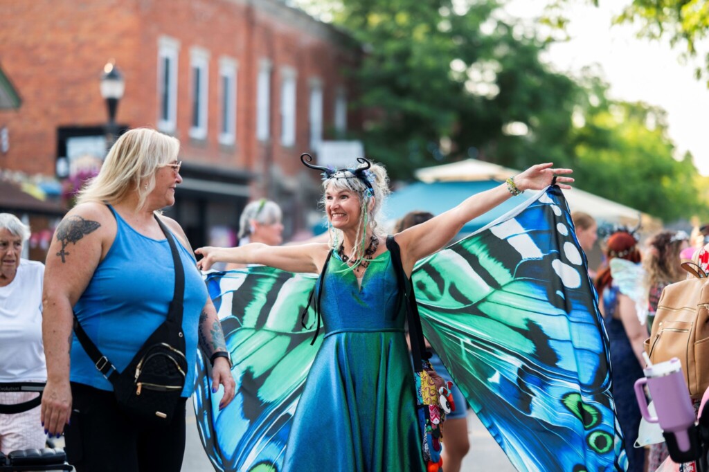 Magical World of Faeries