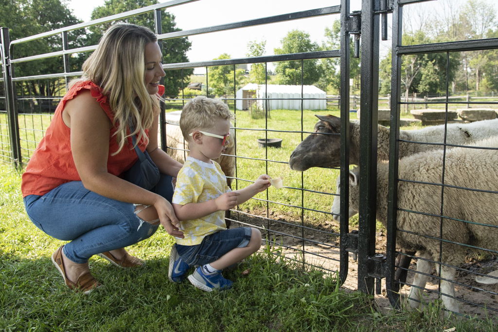 Farm Experiences