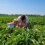 Fields & Flavours: A Self-Guided Farm Tour of Orillia & Lake Country — Farm Stands, Markets & Local Experiences