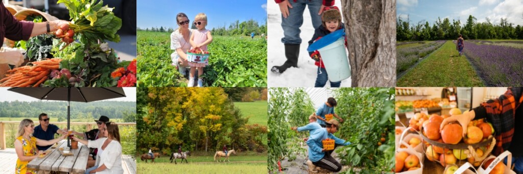 Fields and Flavours Farm Tour