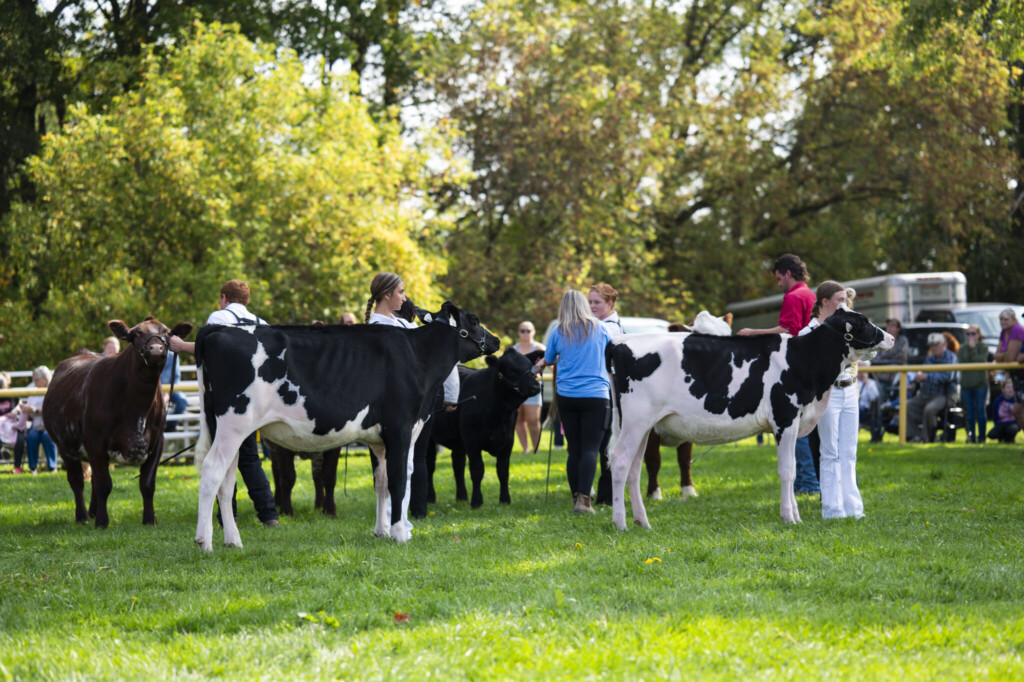 Orillia Fall Fair