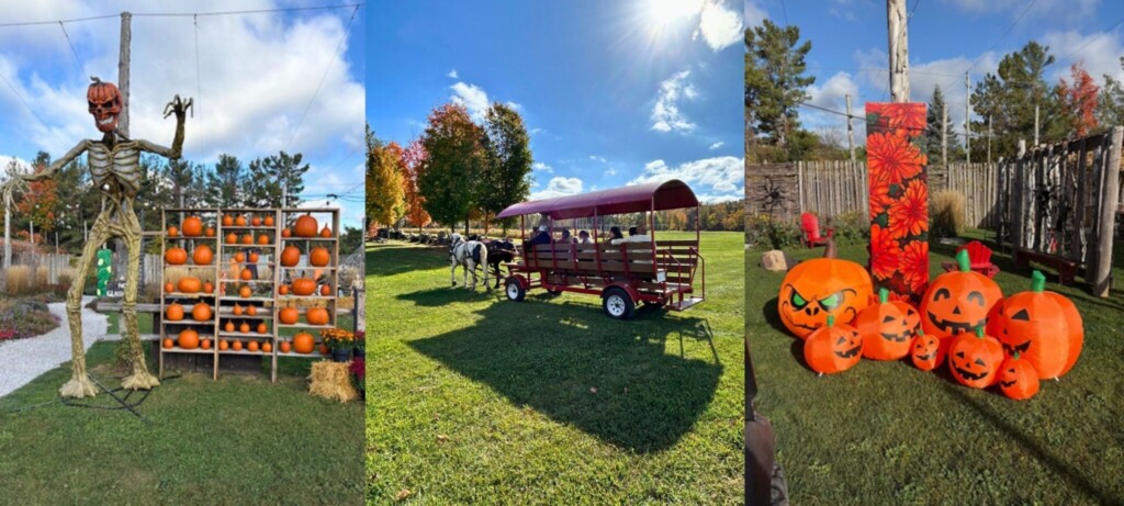 Quayles Fall Festival Oro-Medonte