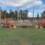 Quayle’s Fall Festival: A Must-Visit Fall Experience in Orillia & Lake Country