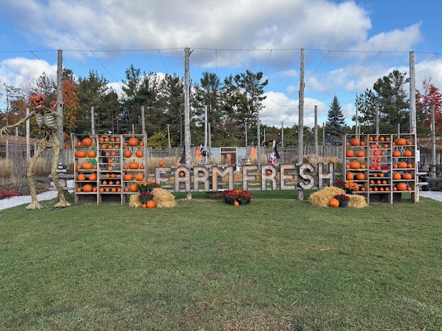 Quayles Fall Festival