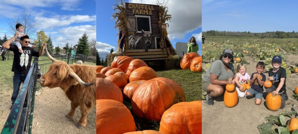 Chappell Farms Pumpkin Festival with Family and Animals