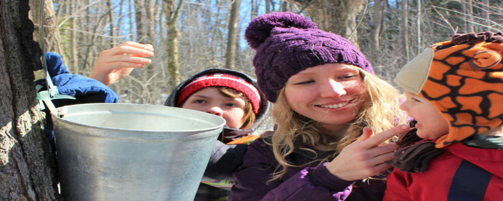 Discover Tap Into Maple: Sugar shack tours, horse-drawn wagon rides, maple treats, and more!
