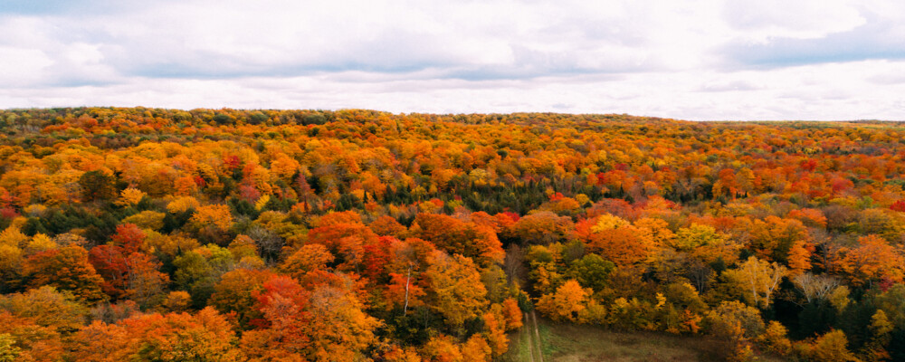 Fall Colours Road Trip, Self-Guided Motorcycle Tours, Mountain Biking & More