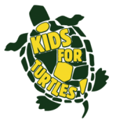 KIDS FOR TURTLES