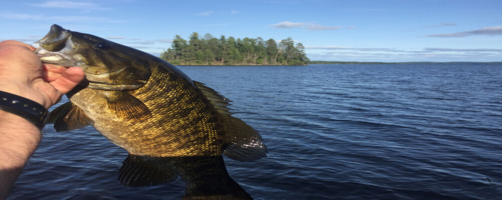 Summertime Bass Fishing in Orillia & Lake Country