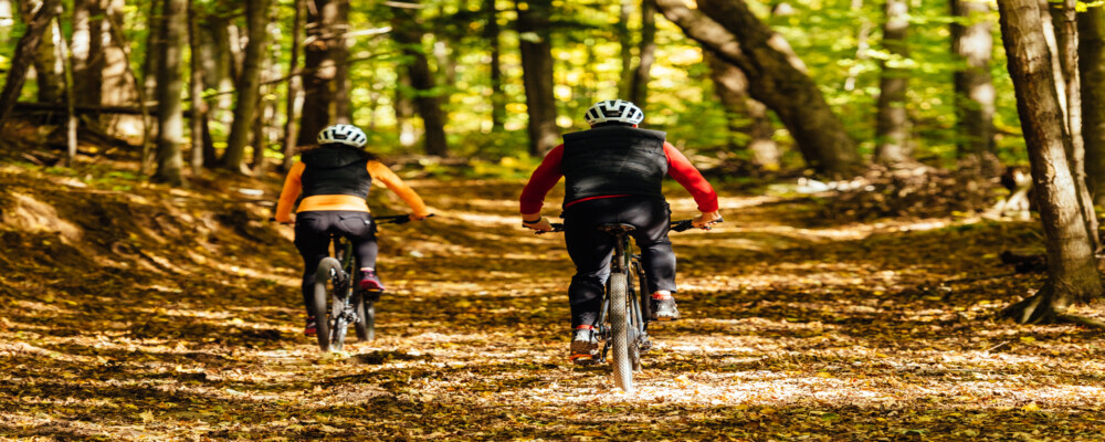 Dine, Play & Stay: Your Ultimate Fall Weekend in Orillia