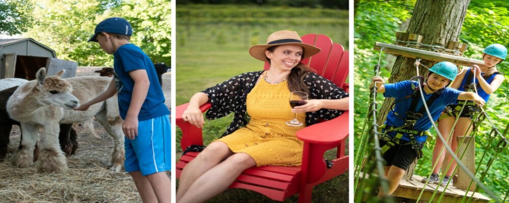 Alpacas, Ziplining, Craft Beverage Tasting & More: Epic Adventures in Oro-Medonte