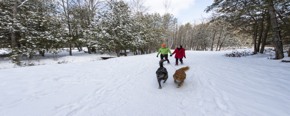Experience Winter in Oro-Medonte