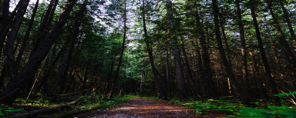 Trails you can enjoy now!