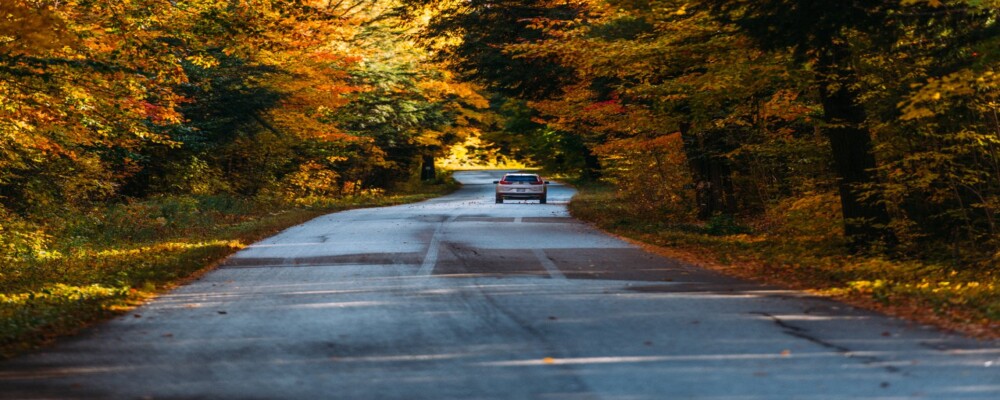 Enjoy the freshness of a new season in Orillia & Lake Country