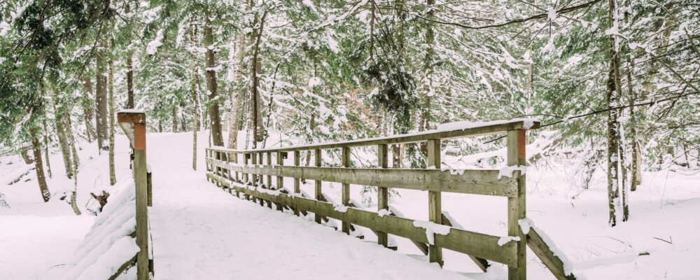 Find Winter Magic on the Trails of Orillia & Lake Country