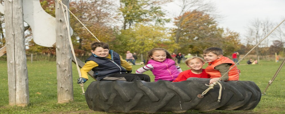 Celebrate the season with Fall Festivals & Events