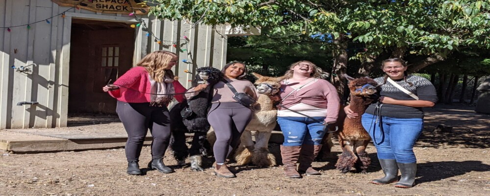 Oro-Medonte Itinerary: Girls Just Wanna Have Fun