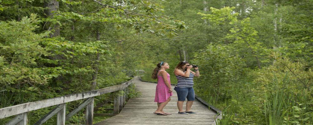 Your Ultimate Guide to Hiking Trails in Orillia & Lake Country