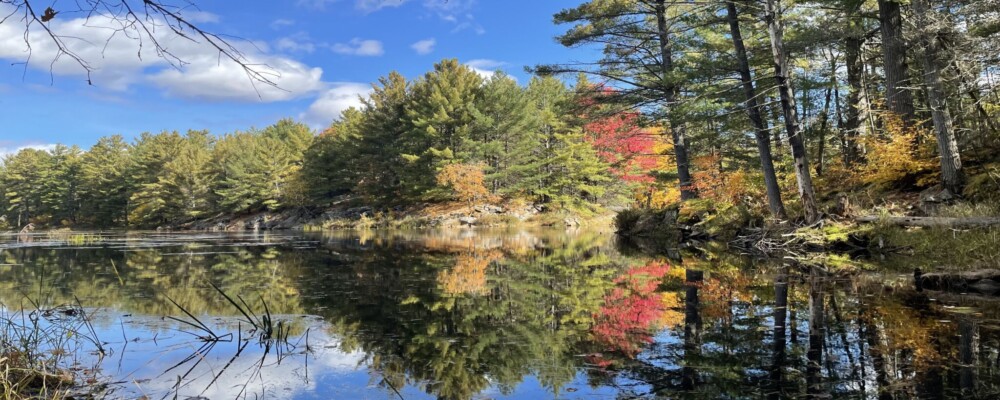 Explore the Quaint Charm & Rugged Beauty of Washago