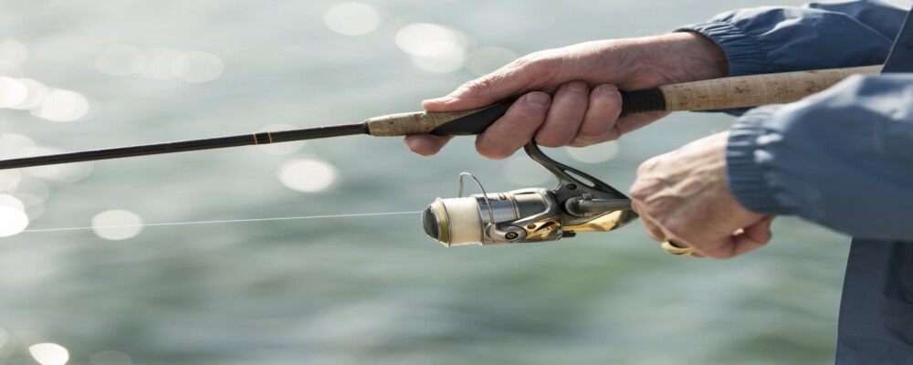 An Introduction to Fishing in Orillia & Lake Country