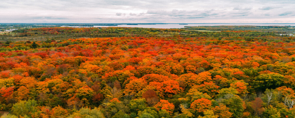 Things to do this Fall in Orillia & Lake Country