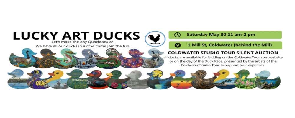Discover the Lucky Art Ducks of Coldwater, Ontario