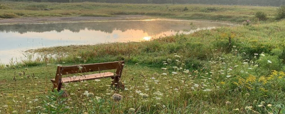 Tourism Spotlight: Quality Time in Nature at the Robert Bowles Nature Centre
