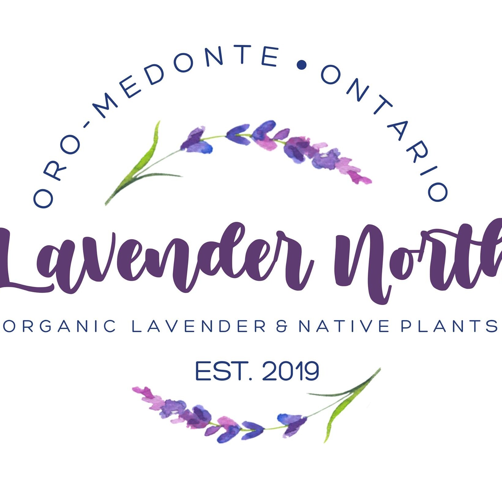 Lavender North