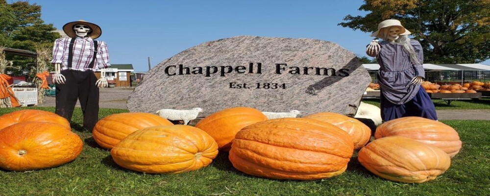 Make Fall Family Memories at Chappell Farms Pumpkin Festival