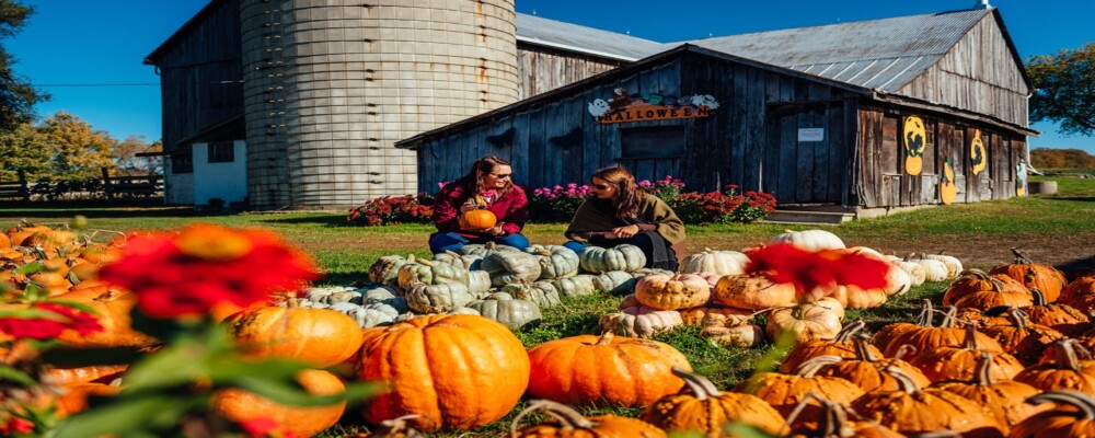 Fall for Oro-Medonte this October