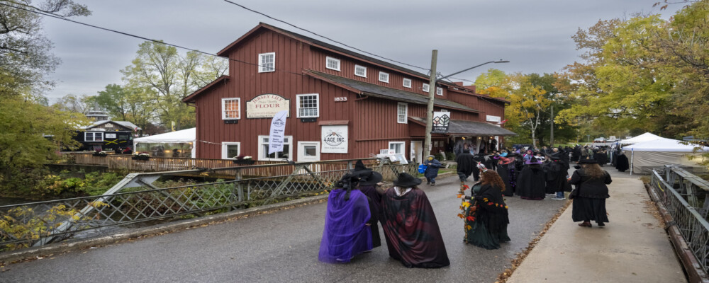 Coldwater Witches Walk: Gather Your Coven This Fall