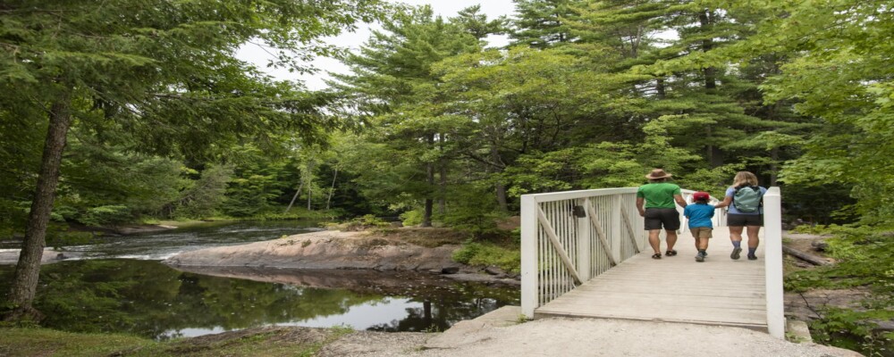 Experience the Great Outdoors at Black River Wilderness Park