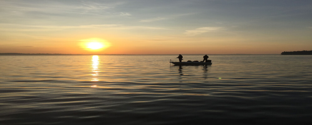 Spring Fishing: Species to Look Out For in OLC