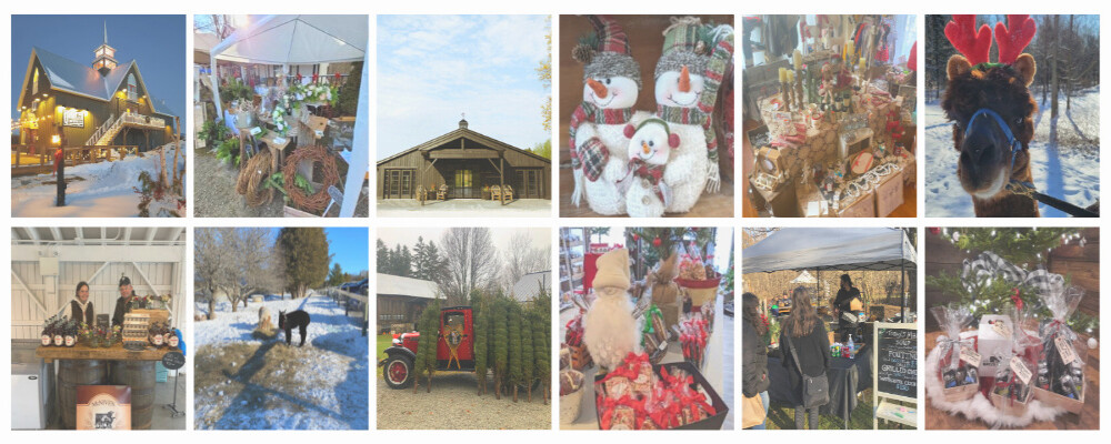 ‘Tis the Season: Oro-Medonte Holiday Markets